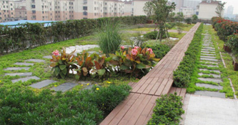 ��ֲ�����̻���ˮ����