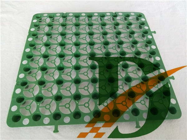 ��ǿ������ˮ��